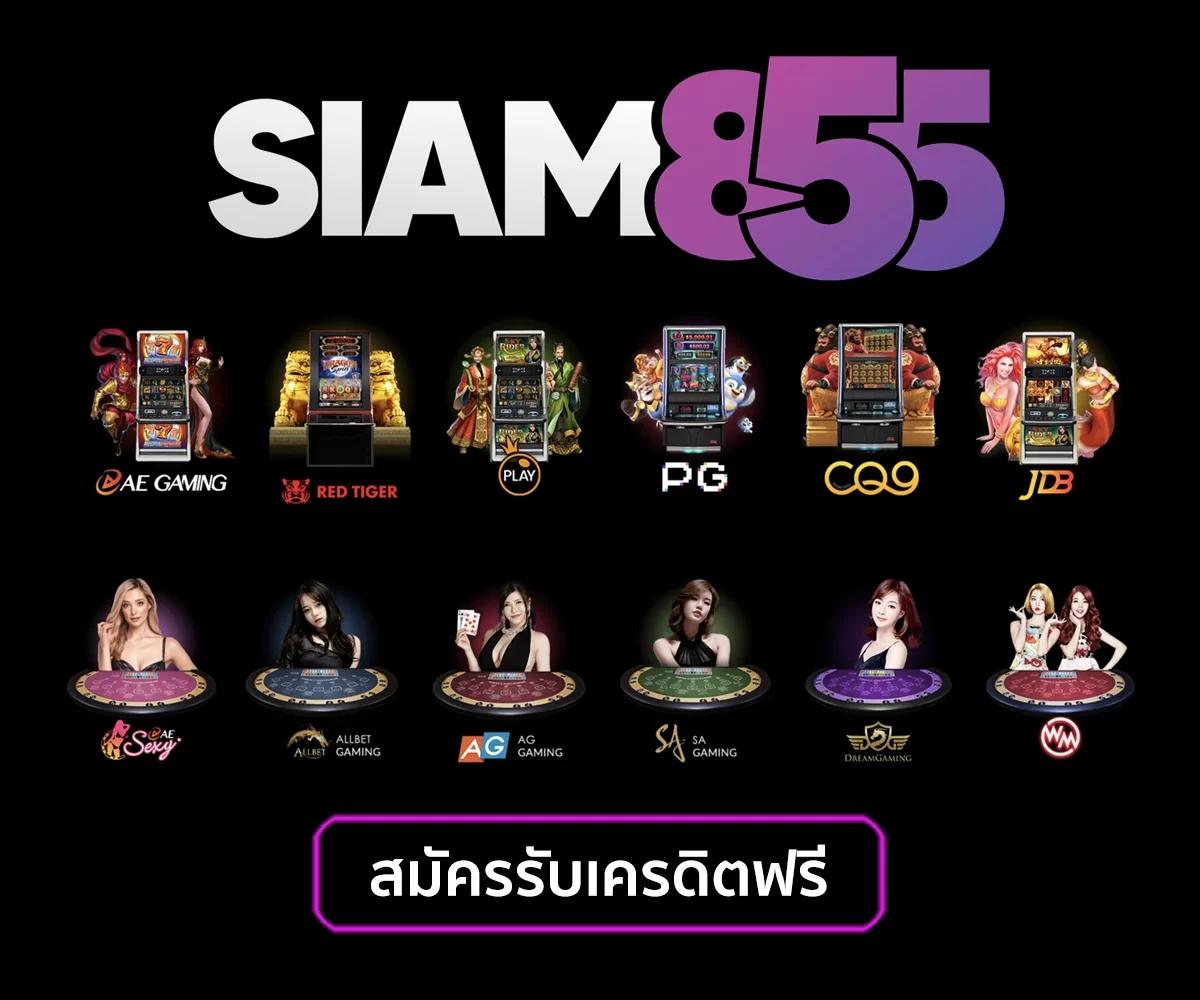 Tiger สล็อต เกมสล็อตมาแรงอันดับ 1 พร้อมโปรโมชั่นสุดพิเศษ