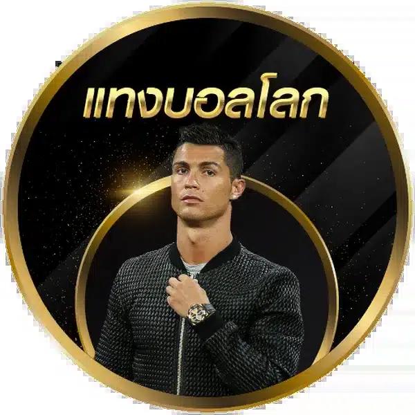 megac4 แพลตฟอร์มคาสิโนออนไลน์ยอดนิยม ด้วยระบบใหม่ล่าสุด 2024