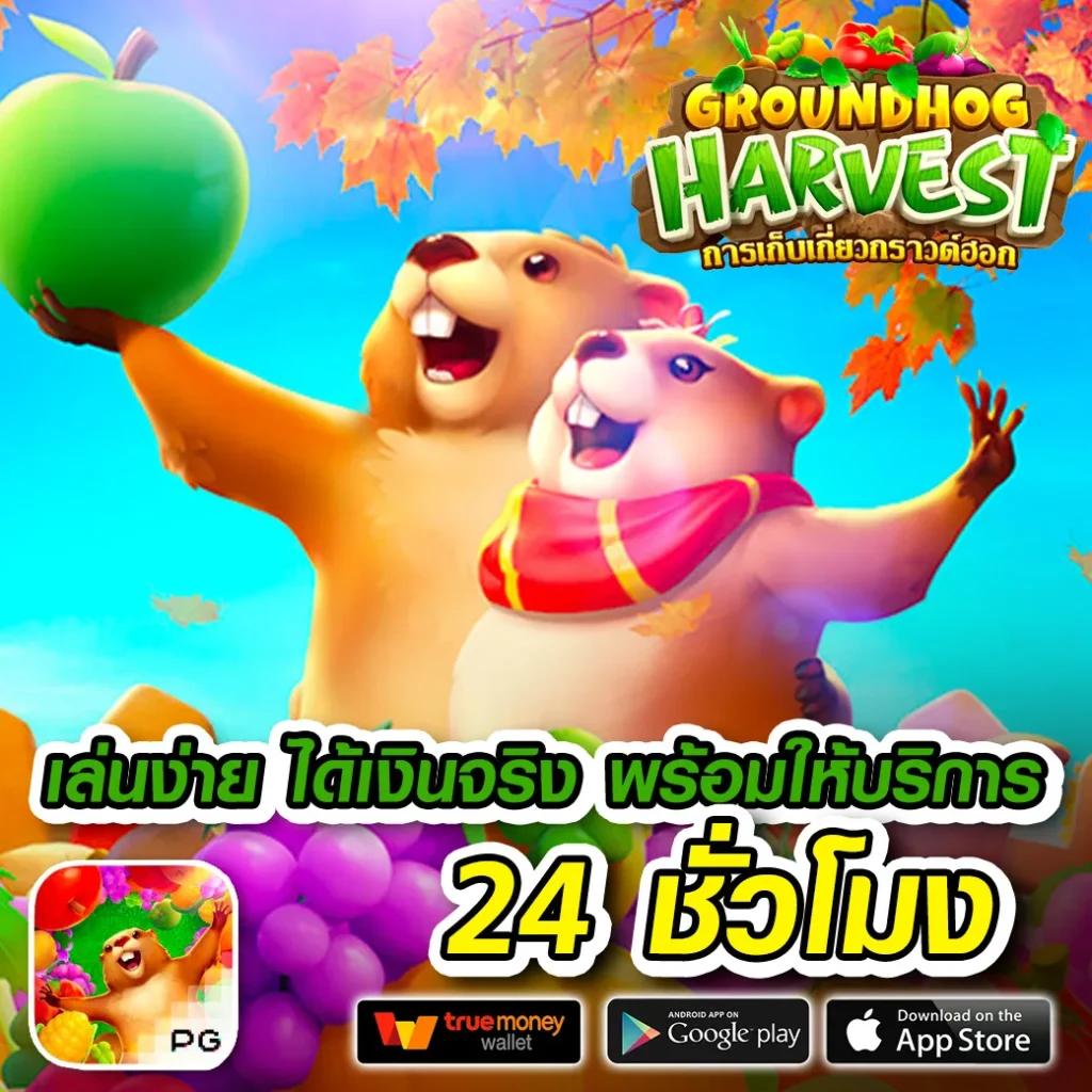 บูม คาสิโน เว็บตรง เกมยอดนิยม ฝาก-ถอน ระบบออโต้ 24 ชม