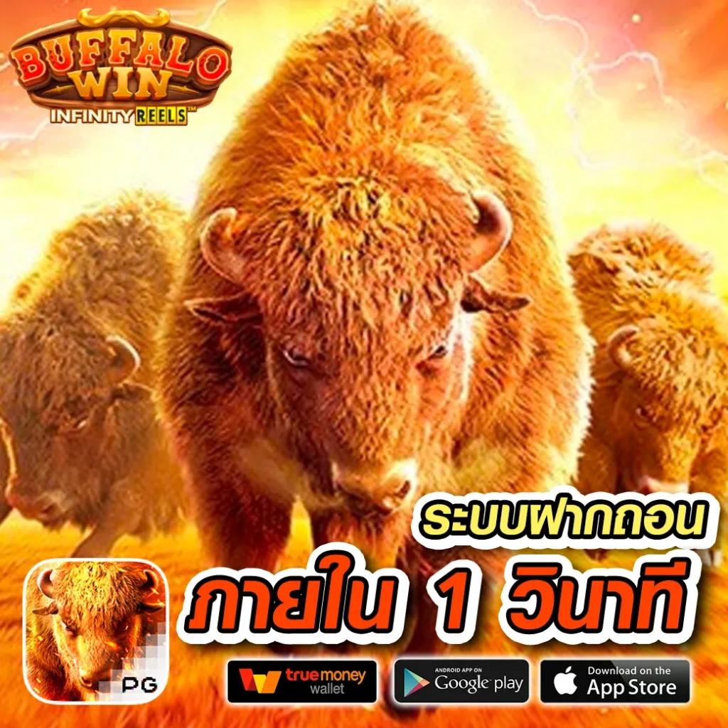 สล็อต เว็บ ตรง G2G ใช้งานง่าย ฝาก-ถอนรวดเร็ว มั่นใจในคุณภาพ