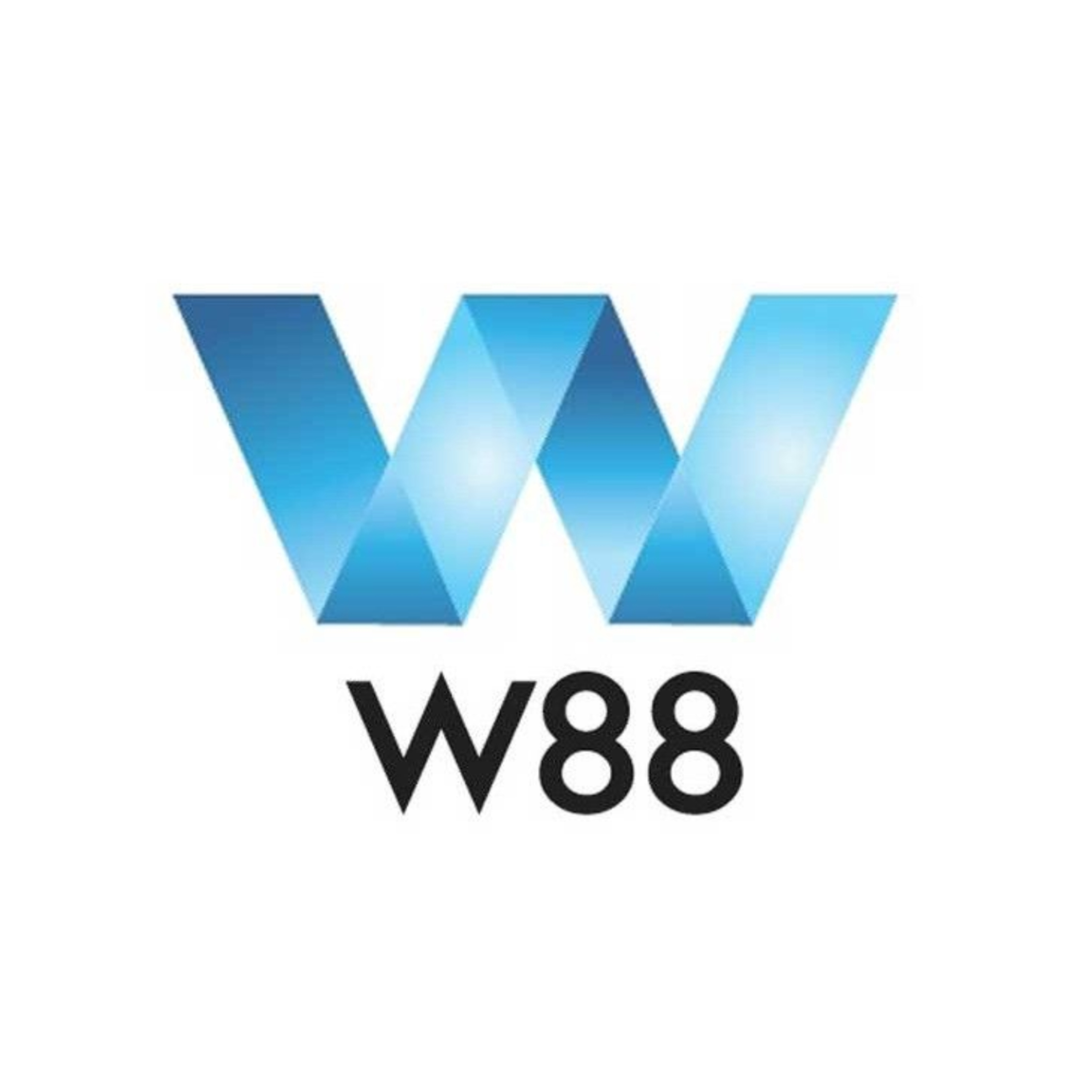 เมก้า333 รวมคาสิโนใหญ่ ระบบทันสมัย เล่นง่าย จ่ายจริง